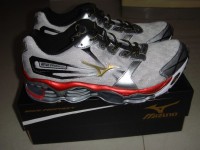 Mizuno Wave prophecy 2